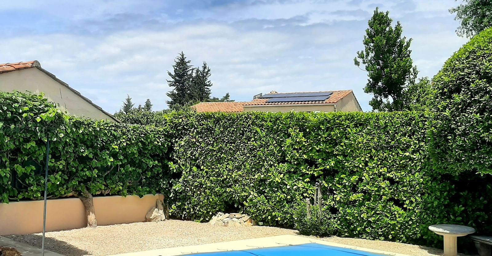 Avant : bord de piscine avec une haie et un sol en gravier nu
